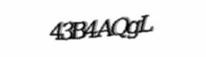 Security check image, please type the characters shown